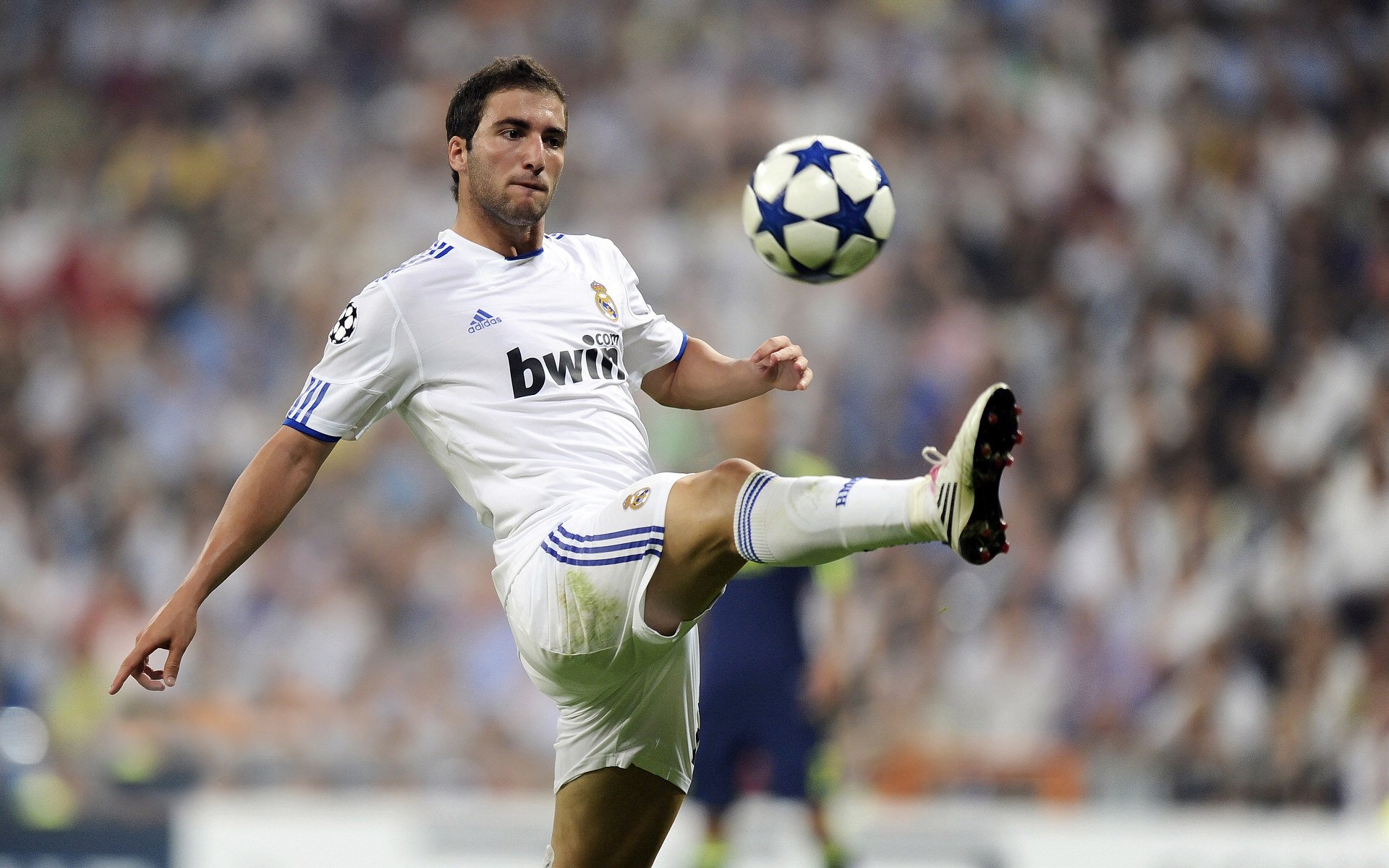 狼队是否能在英超中游站稳脚跟,狼队是否能在英超中游站稳脚跟踢